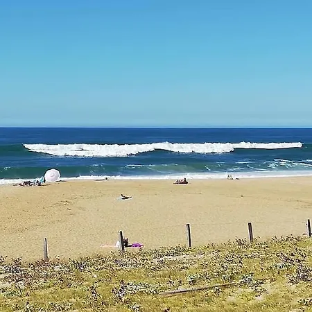T3 Pays Basque Sud Landes * Tarnos