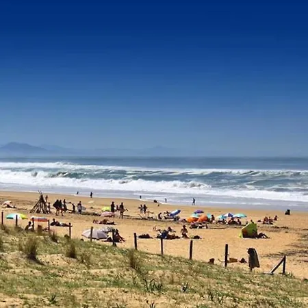 T3 Pays Basque Sud Landes Διαμέρισμα Tarnos